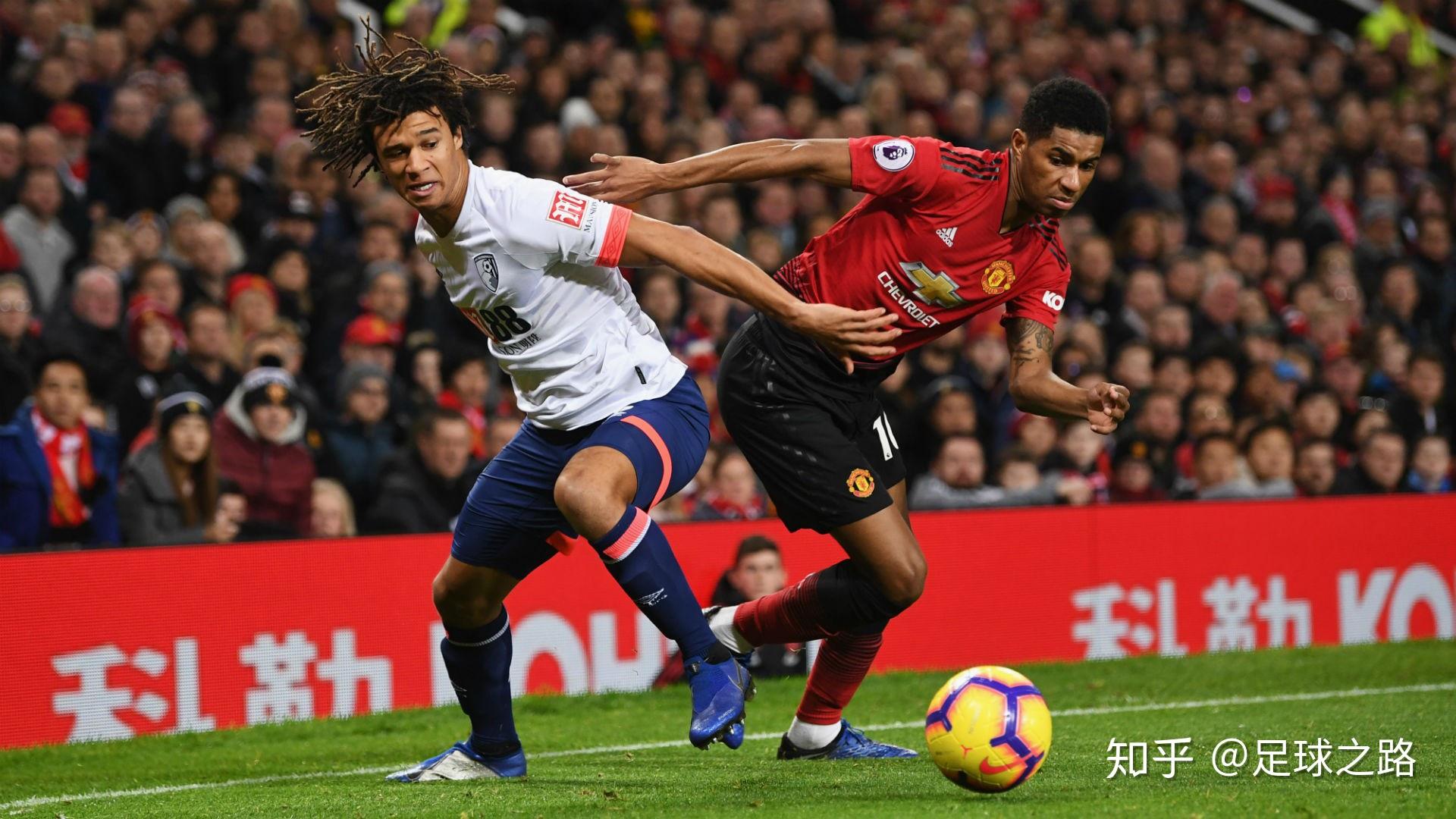 熟度的最佳 熟度的最佳